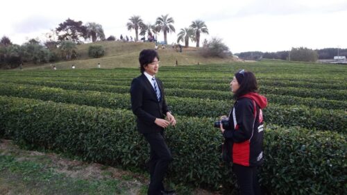 Les thés verts – Culture et histoire