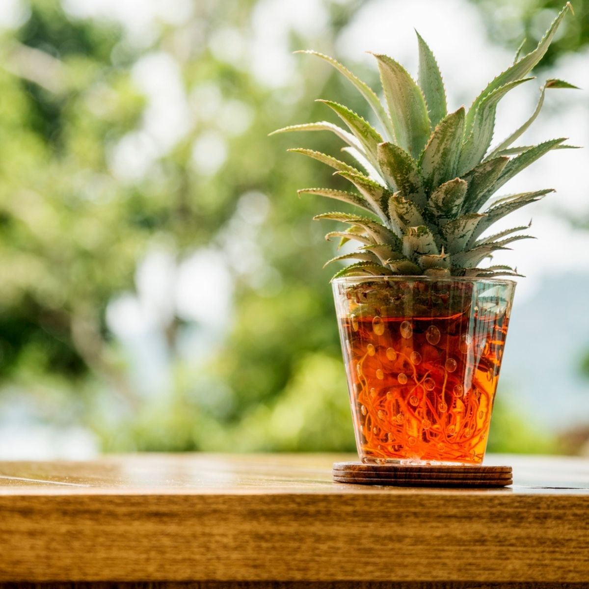 Verre de rooibos orangé avec couronne d'ananas sur table en bois ambiance tropicale