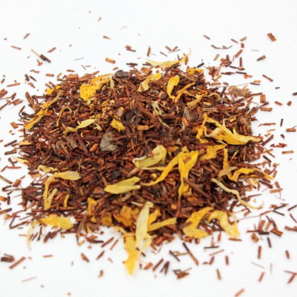 Rooibos chocolat belge