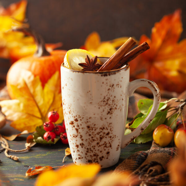 Collection d'automne