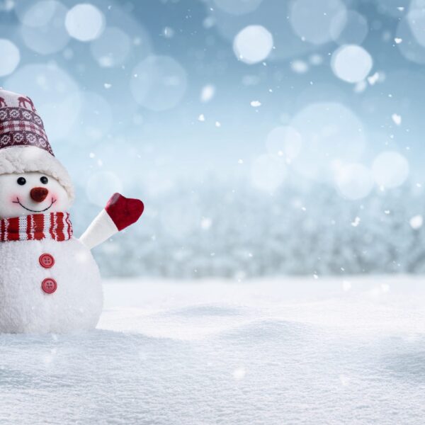 Créations de Noël enchantées