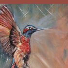 Signet L'éclat duc olibri