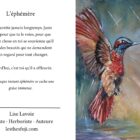 Carte de souhait 5x7 recto verso L'Éclat du colibri toile et texte Lise Lavoie Art Shefford Québec