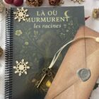 Photo du livre Là où murmurent les racines ouvert, présentant un texte manuscrit sur papier parchemin et la clé symbolique utilisée comme signet.