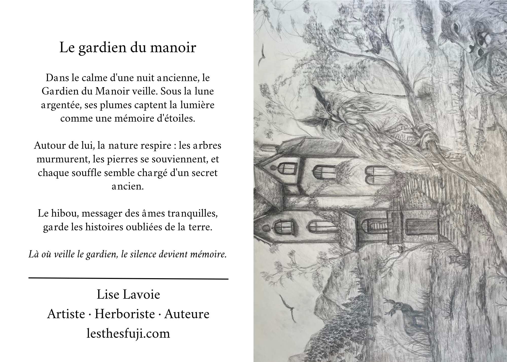 Carte de souhait 5x7 recto verso Le Gardien du Manoir dessin au graphite hibou et poème Lise Lavoie Shefford Québec