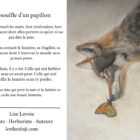 Carte de souhait 5x7 recto verso Le Souffle d'un Papillon dessin et poème Lise Lavoie Art Shefford Québec