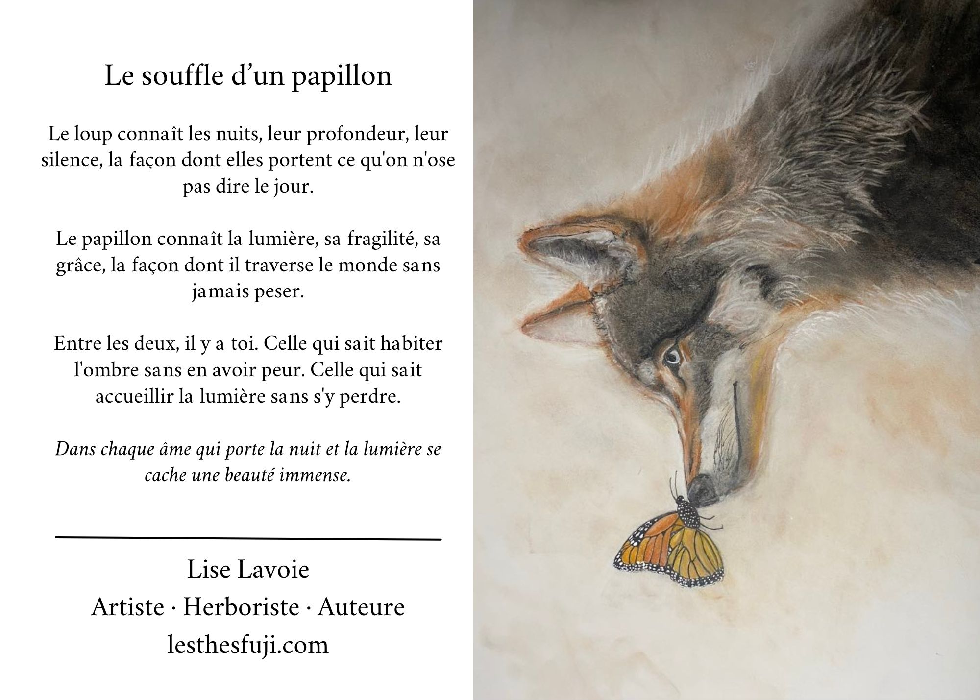 Carte de souhait 5x7 recto verso Le Souffle d'un Papillon dessin et poème Lise Lavoie Art Shefford Québec