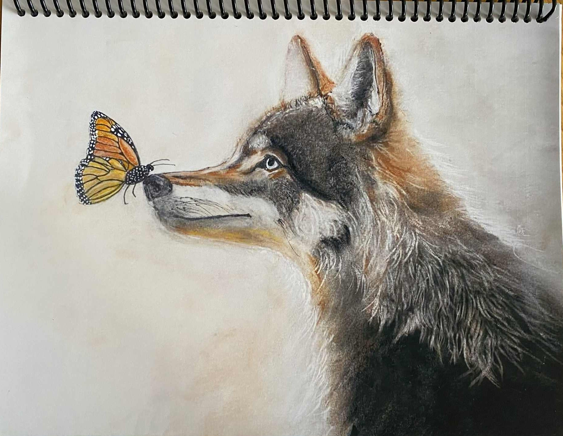 Cahier de notes – Le souffle d’un papillon Cahier de notes – Le souffle d’un papillon