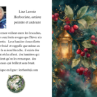 Illustration de lanternes suspendues à des branches portant de petites baies en hiver.