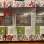 Trio Jardin de Lumière – coffret de thés verts Shanghai litchi jasmin, sencha et palais de Buckingham, ambiance lumineuse et florale, tasse de thé élégante sur fond végétal doux