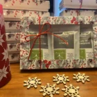 Trio Jardin de Lumière – coffret de thés verts Shanghai litchi jasmin, sencha et palais de Buckingham, ambiance lumineuse et florale, tasse de thé élégante sur fond végétal doux