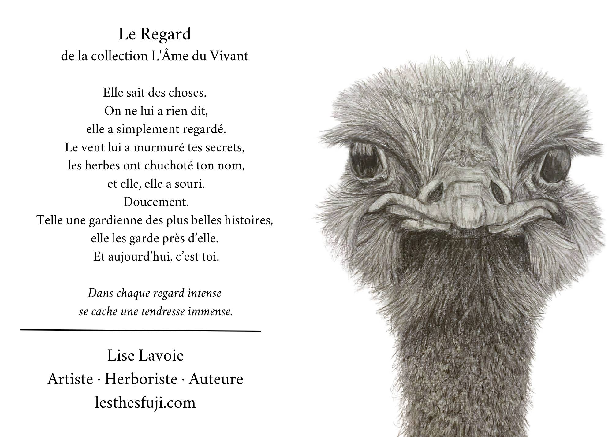 Carte de souhait 5x7 recto verso dessin au graphite Le Regard autruche et poème collection L'Âme du Vivant Lise Lavoie Shefford Québec