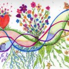 Illustration au marqueur à l'alcool fleurs oiseaux abeilles vagues et rubans colorés reliés Le Fil du Vivant Lise Lavoie Shefford Québec